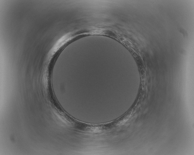 X0000114640295200911171036