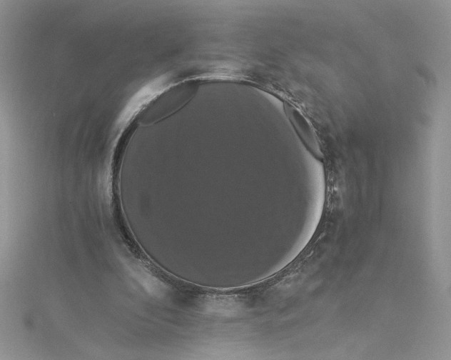 X0000114640296200911171036
