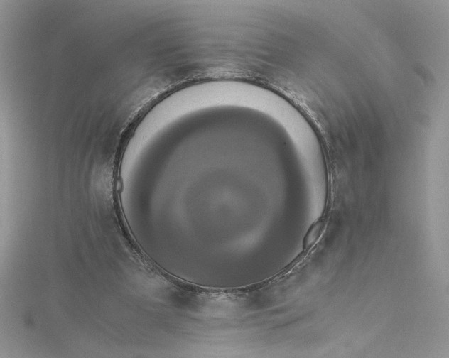 X0000114640297200911171036