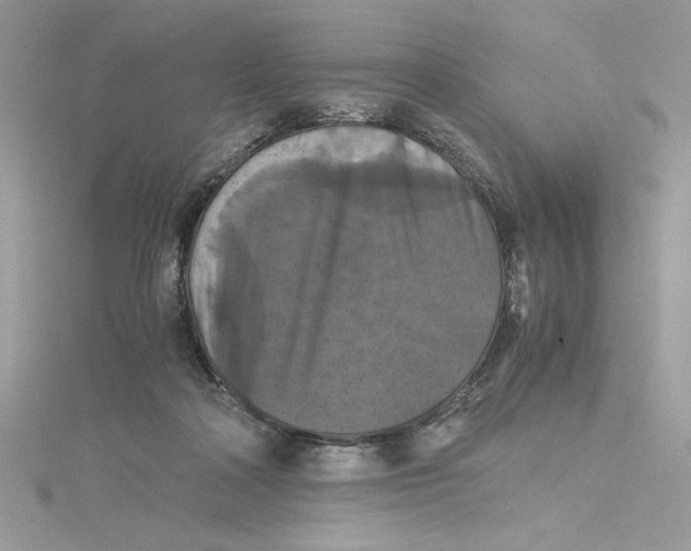 X0000114640314200911171035