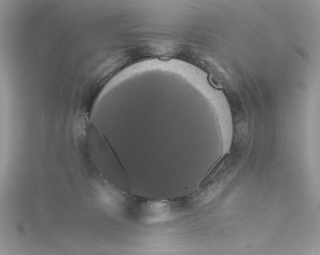 X0000114640325200911171035