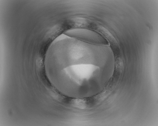 X0000114640327200911171035