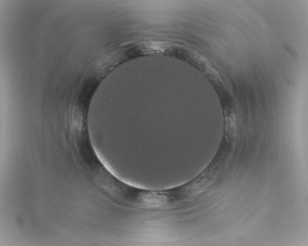 X0000114640331200911171035