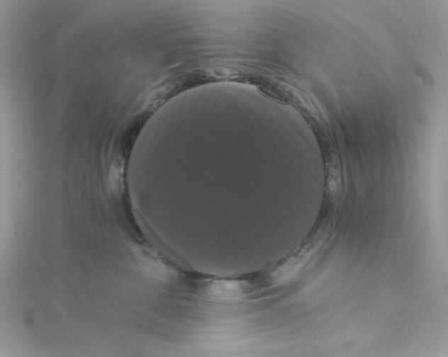 X0000114640332200911171035