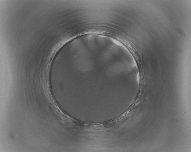 X0000114640337200911171034