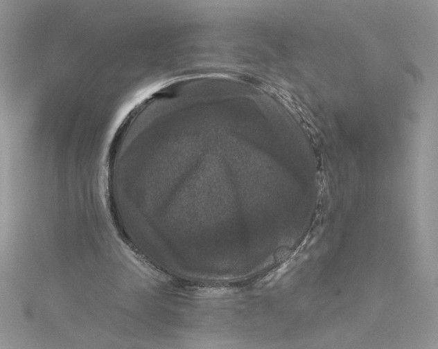 X0000114640342200911171034