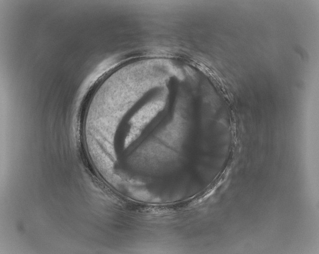 X0000114640343200911171034