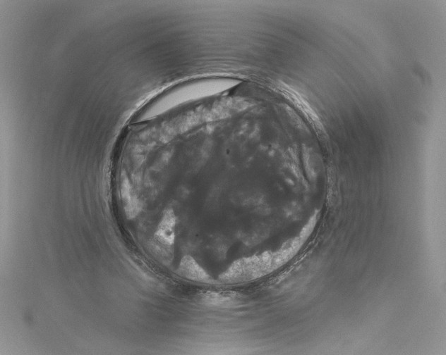 X0000114640346200911171034