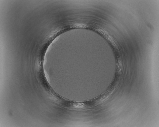 X0000114640355200911171035
