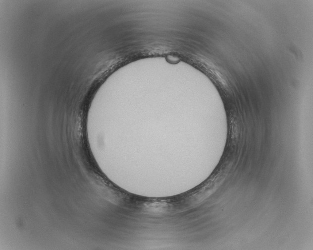 X0000114640362200911171035
