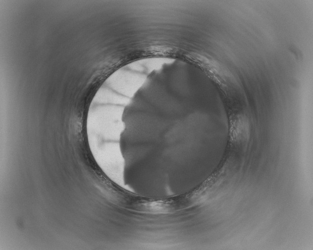 X0000114640365200911171035