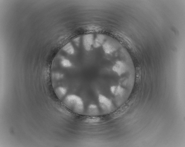 X0000114640369200911171035