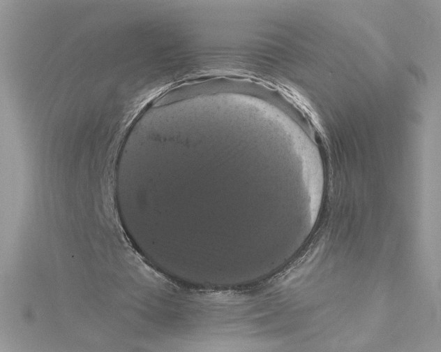 X0000114640385200911171034