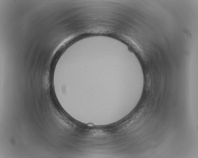 X0000114640392200911171034