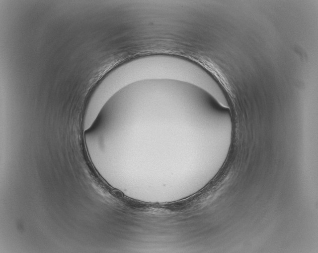 X0000114640393200911171034