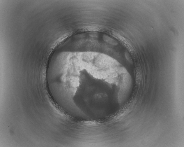 X0000114640394200911171034