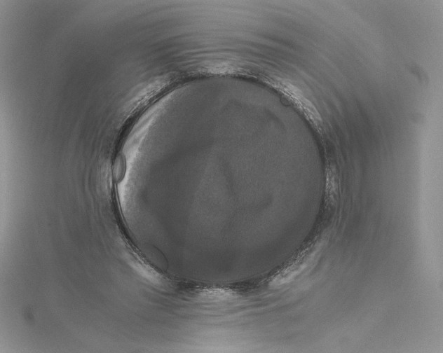 X0000114640397200911171034