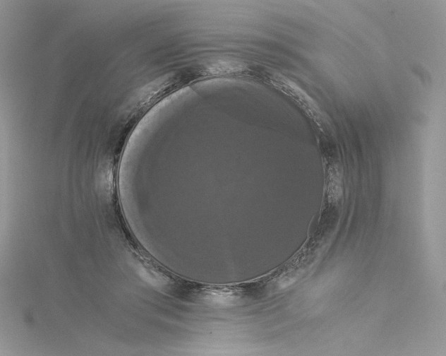 X0000114640405200911171034