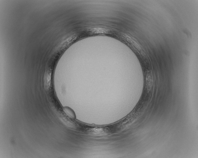 X0000114640406200911171034