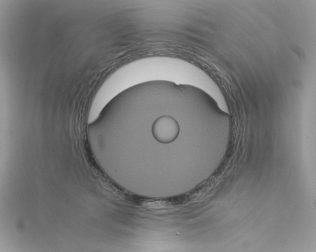 X0000114640417200911171034