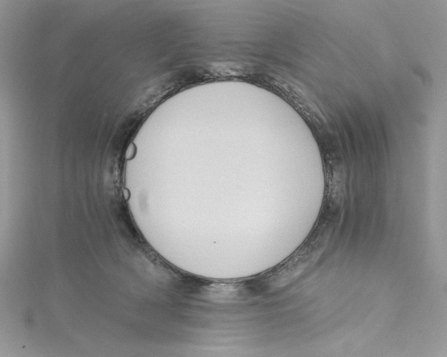 X0000114640418200911171034