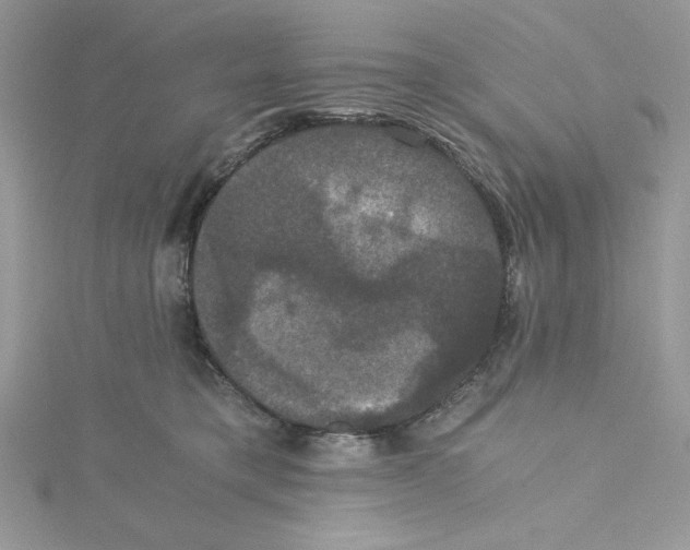 X0000114640421200911171034