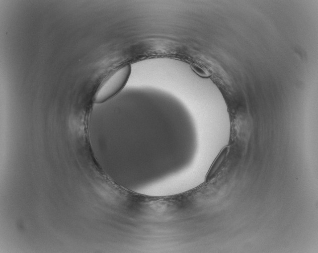 X0000114640423200911171034