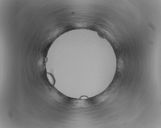 X0000114640428200911171034