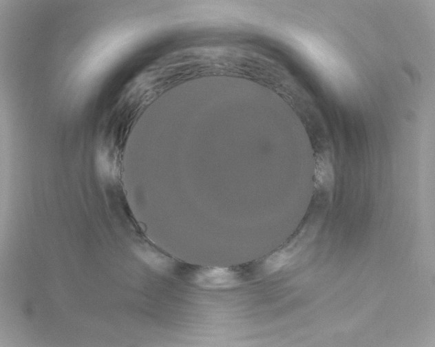 X0000114640431200911171034