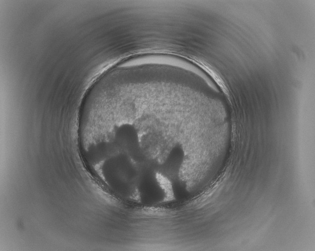 X0000114640437200911171033