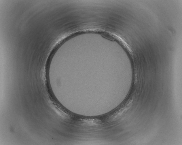 X0000114640439200911171033