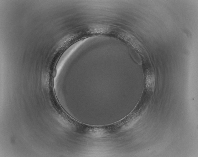 X0000114640444200911171033