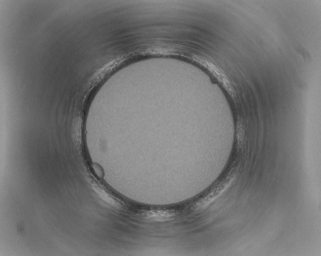 X0000114640445200911171033