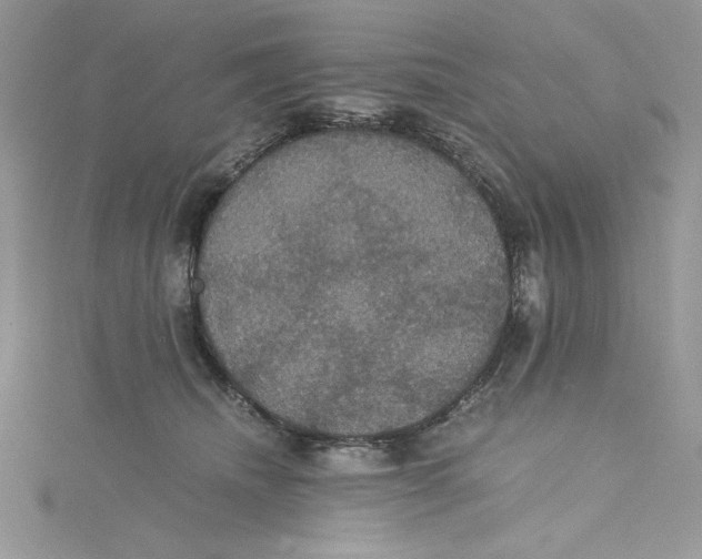 X0000114640468200911171034