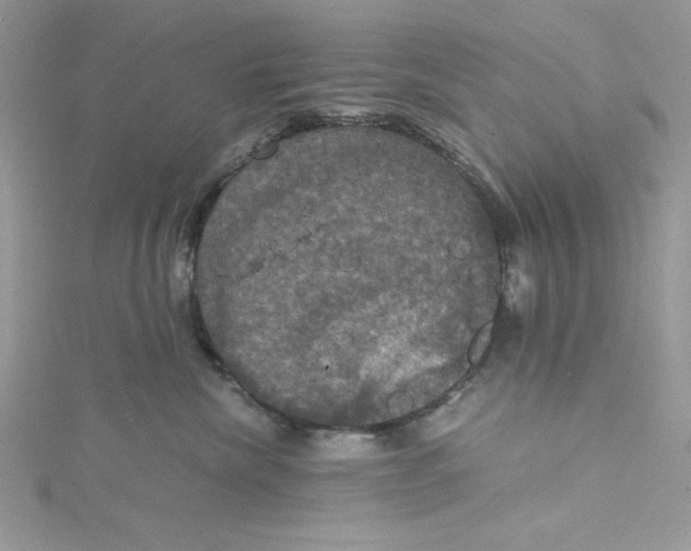 X0000114640476200911171034