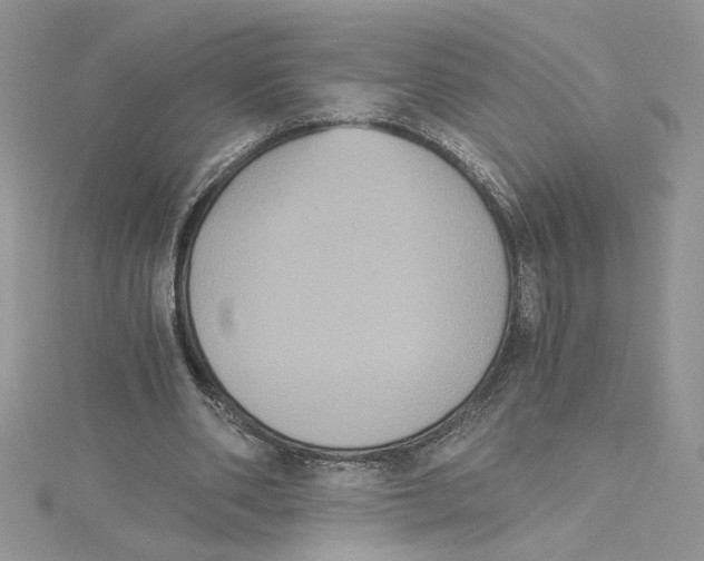 X0000114640486200911171033