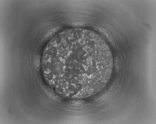 X0000114640495200911171033