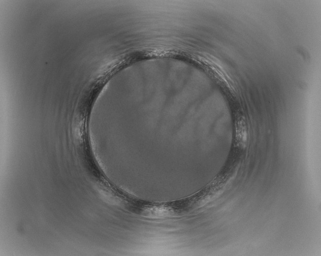 X0000114640503200911171033