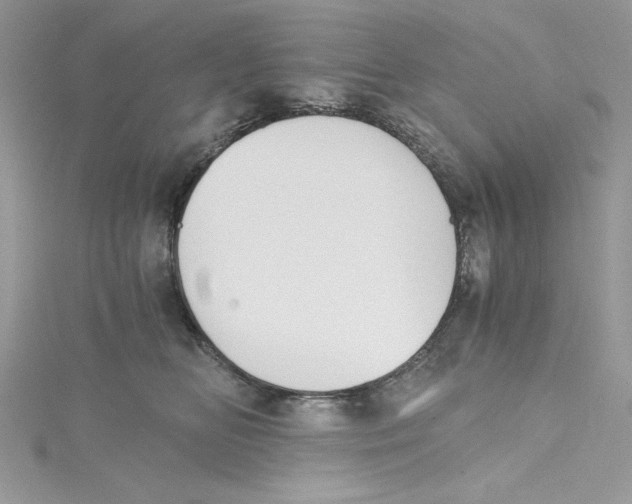 X0000114640518200911171033
