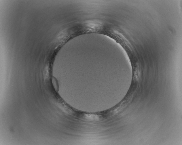 X0000114640520200911171033