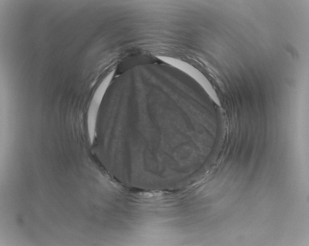 X0000114640524200911171033