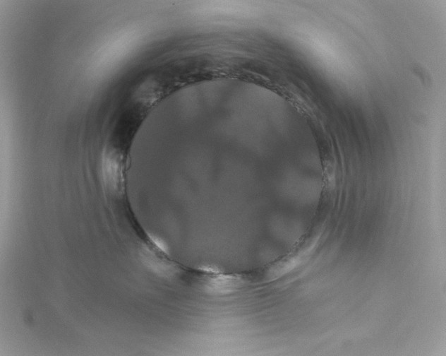 X0000114640527200911171032