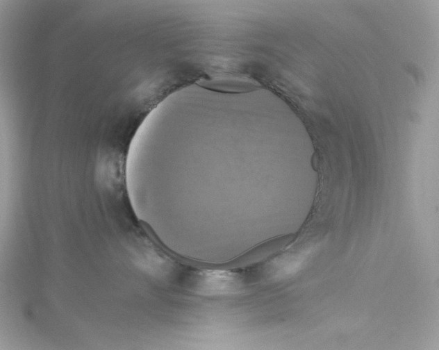 X0000114640528200911171032