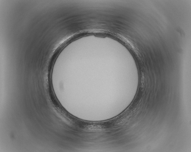 X0000114640535200911171032