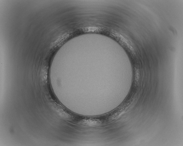 X0000114640545200911171032