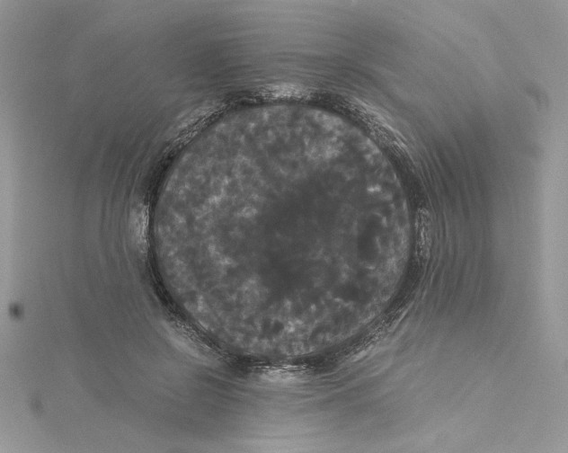 X0000114640550200911171032