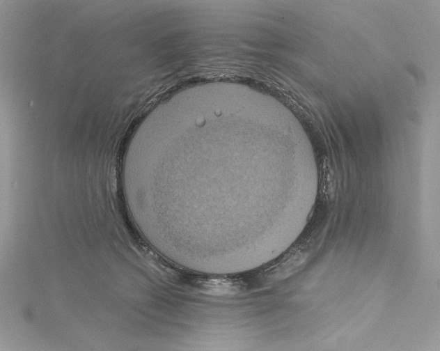 X0000114640562200911171032