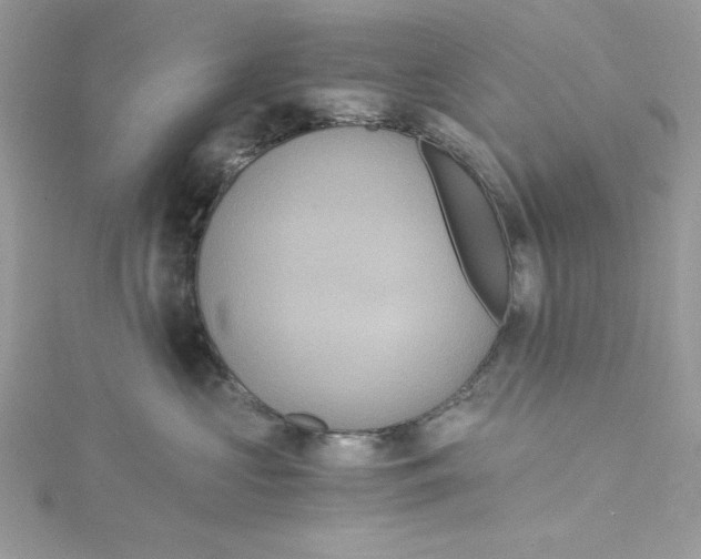 X0000114640573200911171032