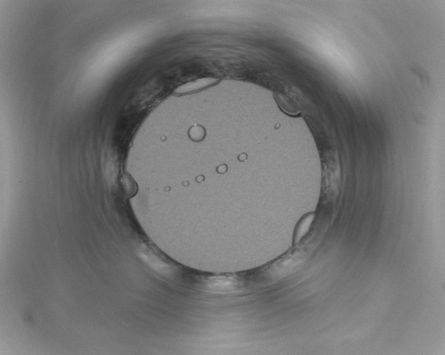 X0000114640574200911171032