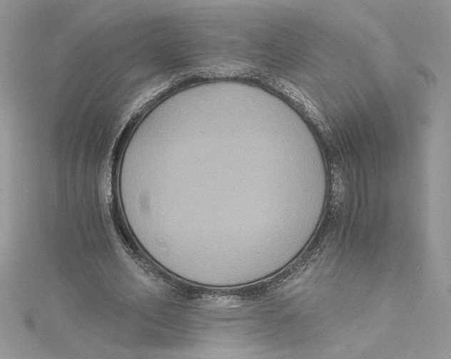 X0000114640582200911171032